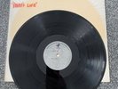Sham 69 - Thats Life ACETATE LP