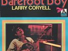 Larry Coryell Barefoot Boy NEAR MINT Flying Dutchman Vinyl LP