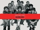 Bloodlines - Blood, Sweat & Tears 200g Vinyl 4 LP Box Set Analogue Productions
