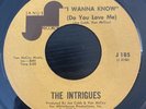 The Intrigues - I Wanna Know / Fly Now Pay Later - Janus RARE SWEET SOUL 45 HEAR