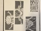 HALO OF FLIES - RUBBER ROOM AMREP ORIGINAL PRESSING KBD PUNK #129/200 RARE