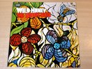 EX/EX   The Beach Boys/Wild Honey/1967 Capitol Stereo LP