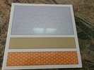 STREETLIGHT MANIFESTO Somewhere  In Between New SEALED Vinyl