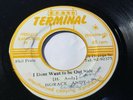 HORACE ANDY - I Dont want to be out Side /Reggae 45