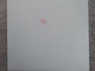 BUDDY HOLLY/ THE CRICKETS 20 GOLDEN GREATS LP RARE TEST PRESSING ORIGINAL