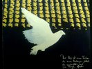 LP Victor Jara - El Verso It Una Paloma, Insert, Ger, NM