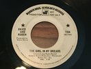 VG+ Northern Soul 45 -David and Ruben The Girl in My Dreams