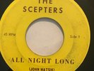 Rare Garage 45/ Scepters 