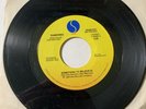 RARE 45 RPM RECORD: Something To Believe In, Ramones (Sire 7-28599) 1986 FB
