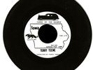 TERRY TEENE-IOWA-“CURSE OF THE HEARSE-PUSSY GALORE”-NM-NICEST COPY I’VE FOUND