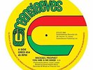 Michael Prophet - You Are A No Good