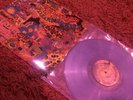 king gizzard and the lizard wizard - oddments (unofficial Release) (2018)