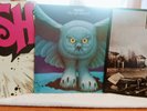 Rush vinyl - RUSH, PERMANENT WAVES, FLY BY NIGHT - 3 Records
