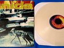 UNIDA Coping w/ the Urban Coyote 12