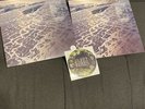 Fleet Foxes - Shore Red Marbled Clay Vinyl LP with Signed Insert Limited 1000