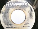 Count Sticky - I Caught You - Reggae - Upsetters Blank