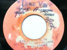 The Kingstonians ?- Sufferer - Rare Reggae Blank 45 - Move & Groove JA