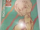 Neon Genesis Evangelion Finally Vinyl Rightstuf