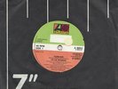 ELECTRO / HOUSE -- CE CE ROGERS -- FOREVER-- UK   7
