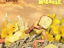 Counting Crows Butter Miracle Suite One Vinyl LP Pre Order 21/05/21 NEW