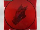 Alice In Chains - The Devil Put Dinosaurs Here Vinyl Record Picture Disc