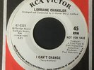 LORRAINE CHANDLER: DEMO COPY 