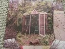 MARCUS KING BAND - CAROLINA CONFESSIONS VINYL LP