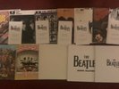 The Beatles in Mono vinyl Box Set