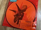 2013 ALICE IN CHAINS THE DEVIL PUT DINOSAURS HERE VINYL PICTURE DISC NEAR MINT