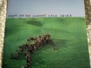 SQUID BRIGHT GREEN FIELD GATEFOLD VINYL RECORD Signed (message By Band)