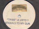 REGGAE -- THE TRIBE -- STICKING TO MY GUN(S) --UK 7