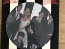 BLONDIE - Parallel Lines 1978 USA ORIGINAL PICTURE DISC LP