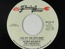Funk 45 - Gloria Walker & Chevelles - You Hit The Spot - Flaming Arrow - mp3