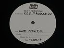 ANTI-SYSTEM - At What Price Is Freedom? - 2017 Boss Tuneage TEST PRESSING 12
