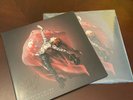 Lindsey Stirling - BRAVE ENOUGH Signed Vinyl Record (Excellent condition)