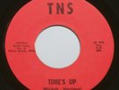 TNS Time's Up & Telling Your Fortune GARAGE PSYCH PUNK Private Michigan 45 RPM