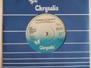 7/45 THE SPECIALS : A MESSAGE TO YOU RUDY (IRELAND)