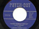 HEAR- Rare Garage/Psych EP- Lincoln Street Exit- What Ever Happened To Baby Gess