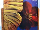 Twinkle Brothers: Praise Jah: Virgin FL 1041: 1979: Vintage Vinyl