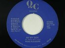 Modern Soul 45 - Pure Pleasure - By My Side - QC - mp3