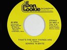 Modern Soul 45 - Sonnie 'N Brite - That's The Way Things Are - Son Cookie - VG+
