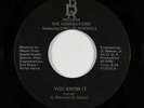 Modern Soul Disco 45 - Admirations ft. Dino Blackwell - You Know It - D.D.A. mp3