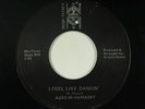 Modern Soul Disco 45 - Aged In Harmony - I Feel Like Dancin' - Mor-Tones VG+ mp3
