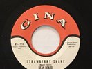 Dean Beard, “Strawberry Shake” Rockabilly 45 On  Gina VG ++