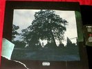J. COLE 4 Your Eyez Only LP RARE OOP ORIGINAL 2016  NEAR MINT VINYL