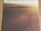 saves the day vinyl Stay What You Are grey marble