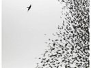 Wilco / Sky Blue Sky 180 Gram Vinyl Record