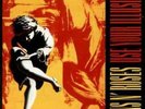 Guns N' Roses - Use Your Illusion I (2xLP Vinyl)