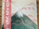 GRUFF RHYS Seeking New Gods DINKED Ltd Ed Splatter Vinyl + Flexi + Signed Print