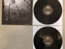 FOREST S/T 2LP Darker Than Black Blazebirth Hall Branikald Nitberg Vothana